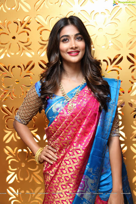 Zari Kanjivaram_Silk